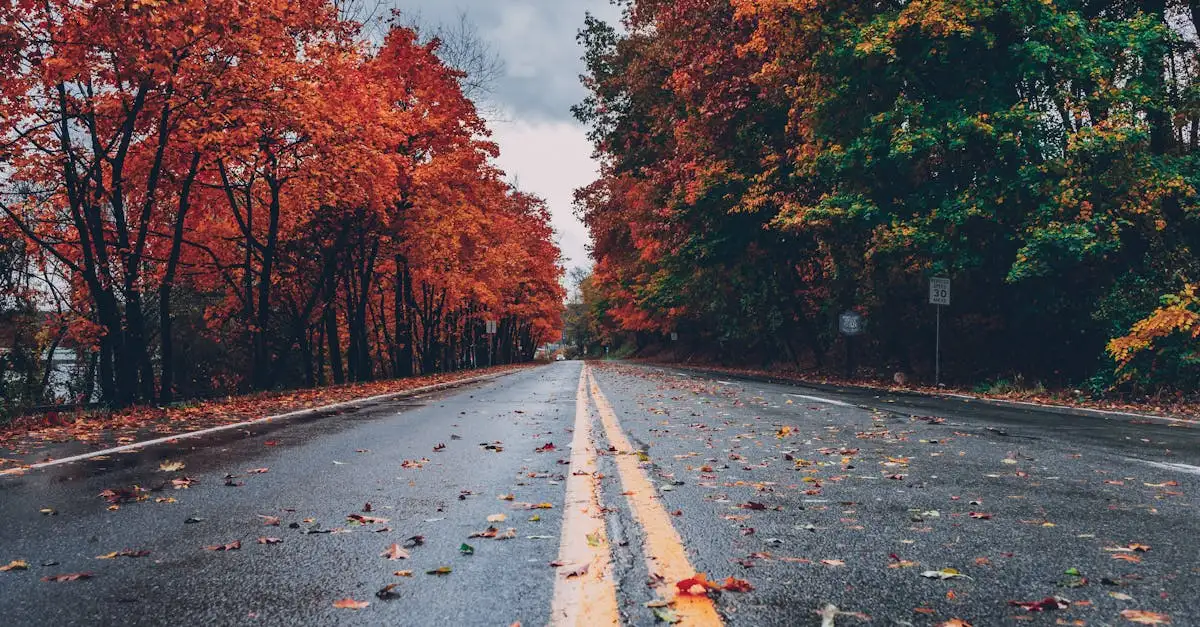 Kostenlose Herbst Ausmalbilder zum Ausdrucken und Malen