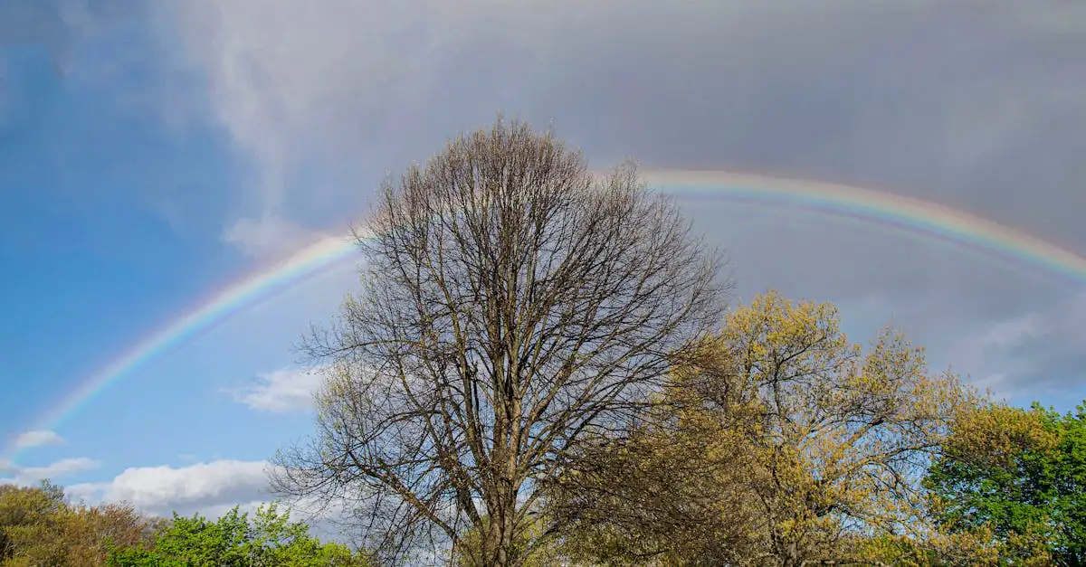 Kostenlose Regenbogen Ausmalbilder zum Ausdrucken