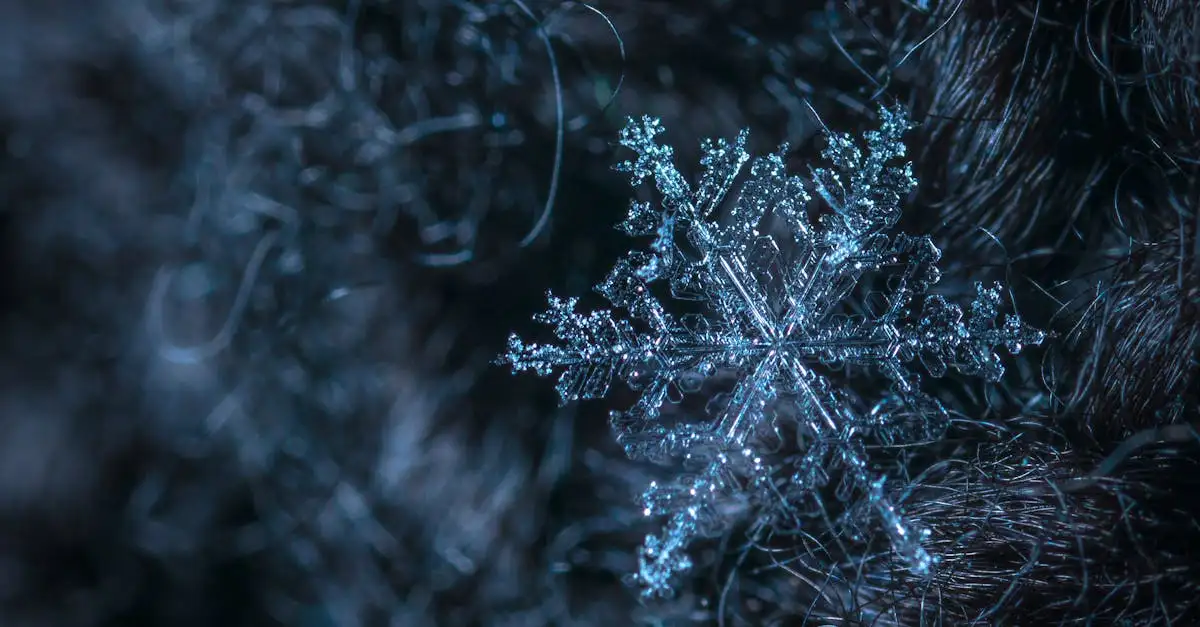 Ausmalbild Schneeflocke: Kostenlose Malvorlagen zum Drucken